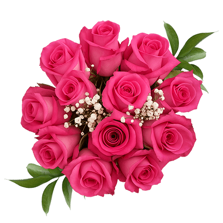 HOTPINK