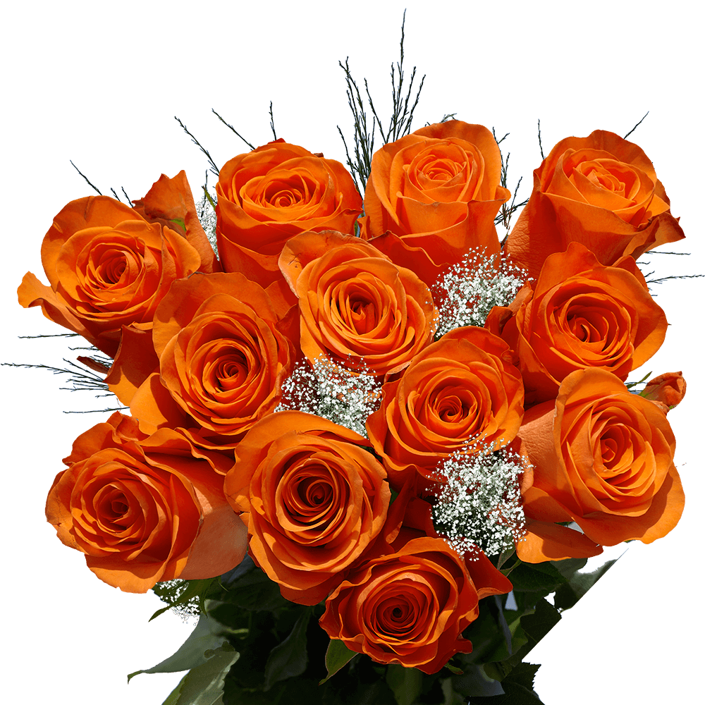 Dozen Orange Roses Free Valentine's Day Delivery