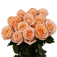 (OC) Roses Sht Dozen peach X 1 Bunch For Delivery to Yukon, Oklahoma