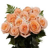 (OC) Dozen Long Peach Roses And Filles 1 Bunch For Delivery to Saginaw, Michigan