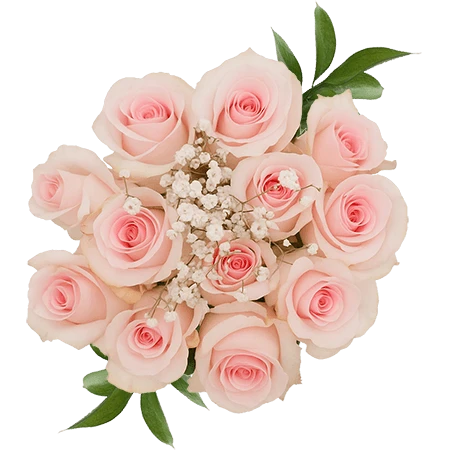 LIGHTPINK