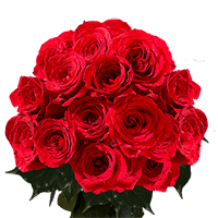 (HB) Rose Sht Dozens Red 16 Bunches For Delivery to Jacksonville, North_Carolina