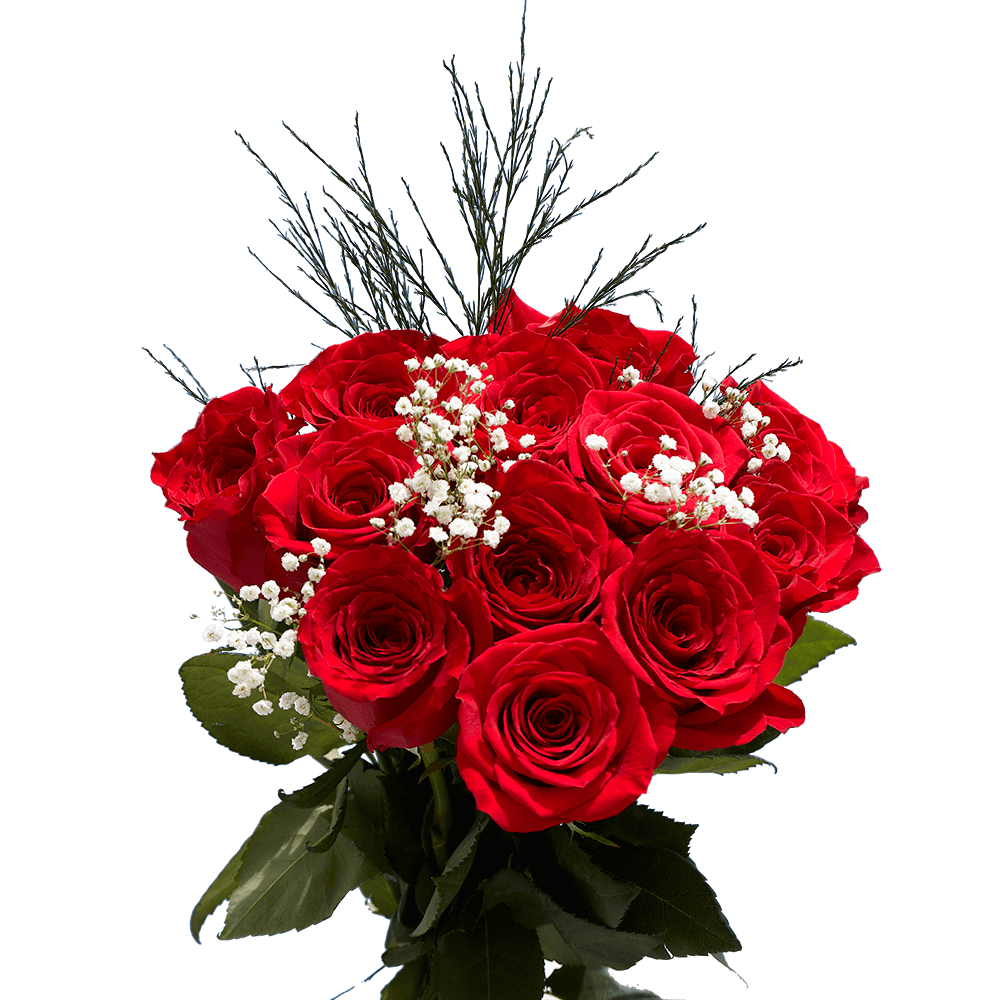 Dozen Red Roses Free Valentine's Day Delivery