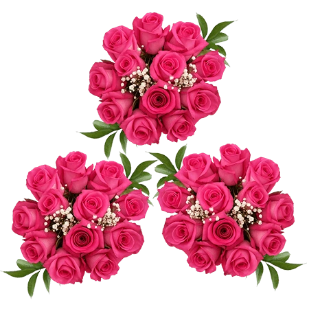 HOTPINK