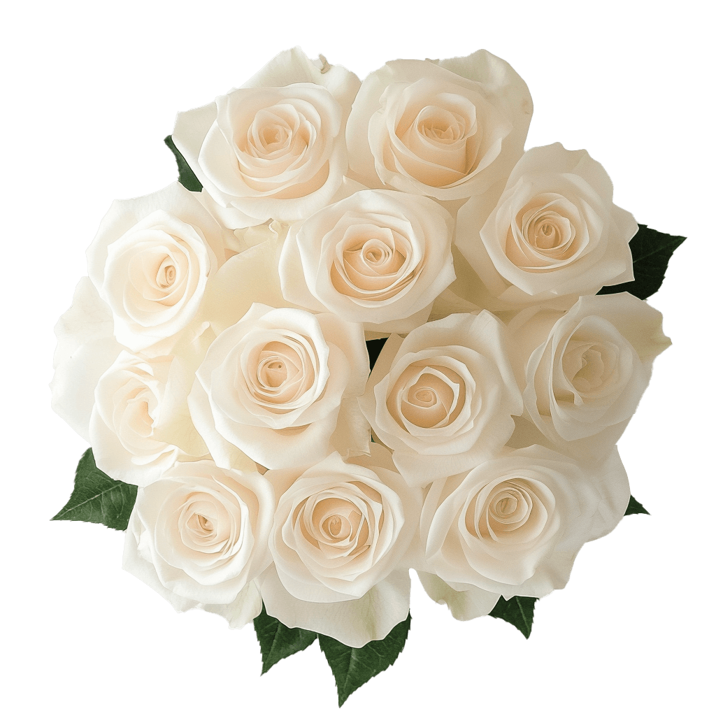 Dozen White Roses Free Valentine s Day Delivery GlobalRose