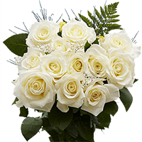 (OC) Roses Sht Dozen white X 1 Bunch (Gypso And Greens) For Delivery to Safford, Arizona