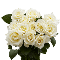 (OC) Roses Sht Dozen white X 1 Bunch For Delivery to Queensbury, New_York