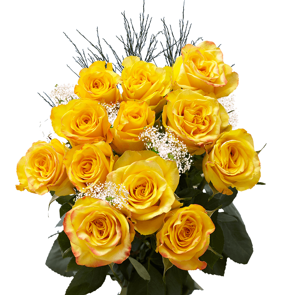 Dozen Yellow Roses Delivered Free for Valentines