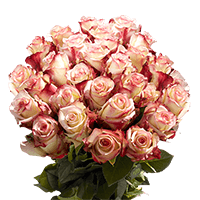 (QB) Rose Long Tormenta [Inlude Flower Food] For Delivery to Flushing, New_York