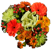 (OC) Fall Flower Arrangement Hen 2 Bqt For Delivery to Springfield, Virginia