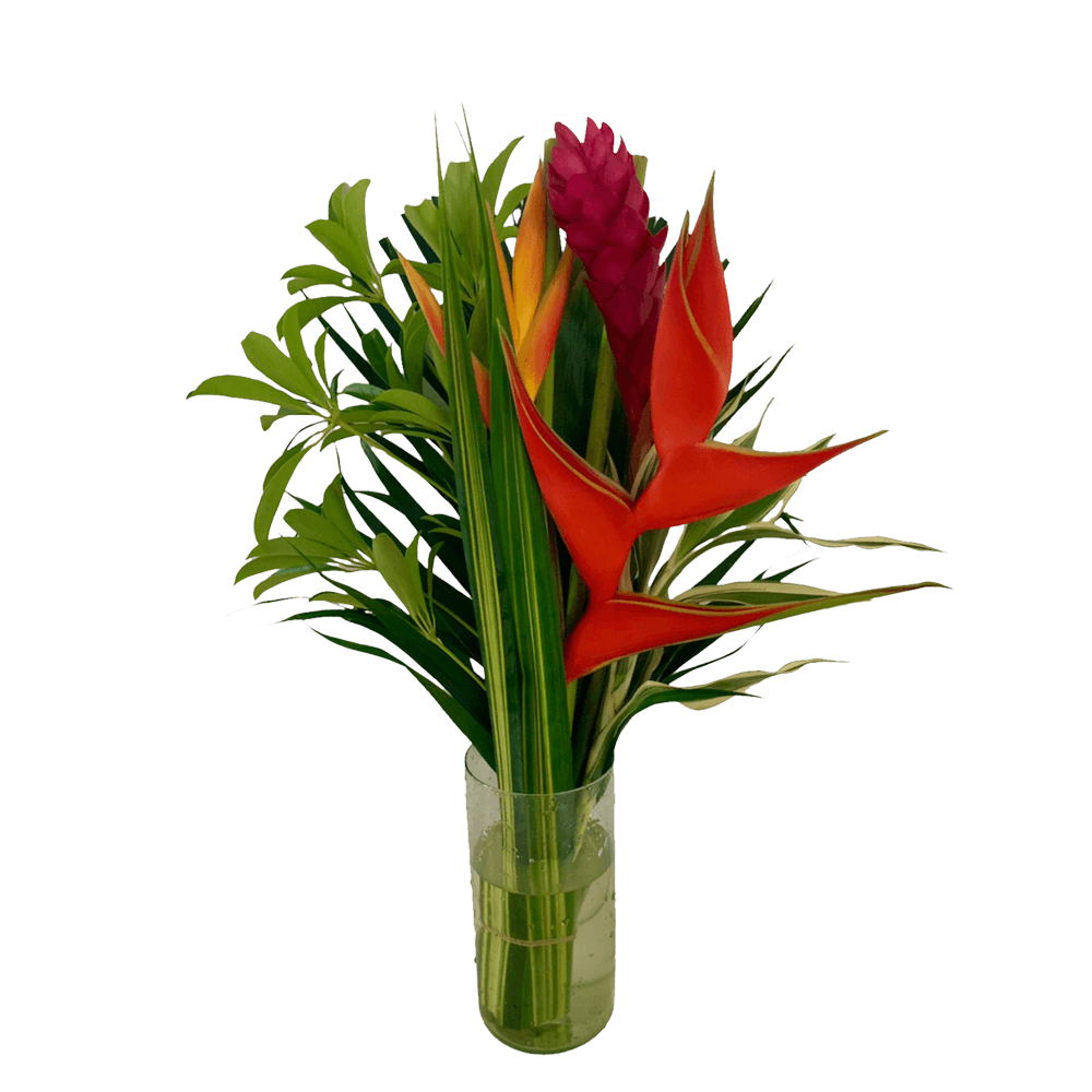 Flat Harmony Tropical Flower Bouquet - Choose Your Quantity