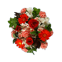 Order Fun Bouquets 2 (OC) [Include Flower Food] (OM)