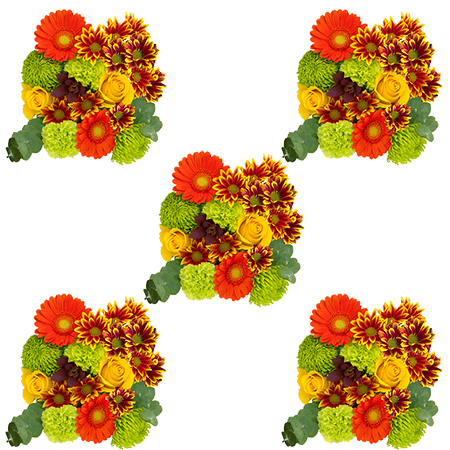 (HB) Arrangement Changing Colors
