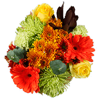 (HB) Arrangement Changing Colors For Delivery to Murrieta, California