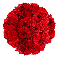 (QB) Roses Sht Red 4 Bunches For Delivery to North_Carolina