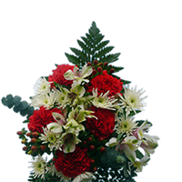 Next Day Snow Christmas 9 (QB) [Include Flower Food] (OM) For Delivery to Lawrence, Kansas