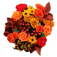 (QB) Fall Turkey Arrangements For Delivery to Waukegan, Illinois