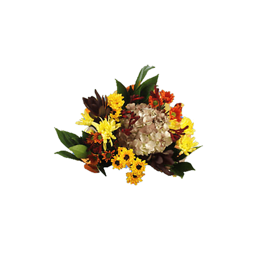 Flower Bouquets Online Arrangements of Hydrangea Cushion Poms