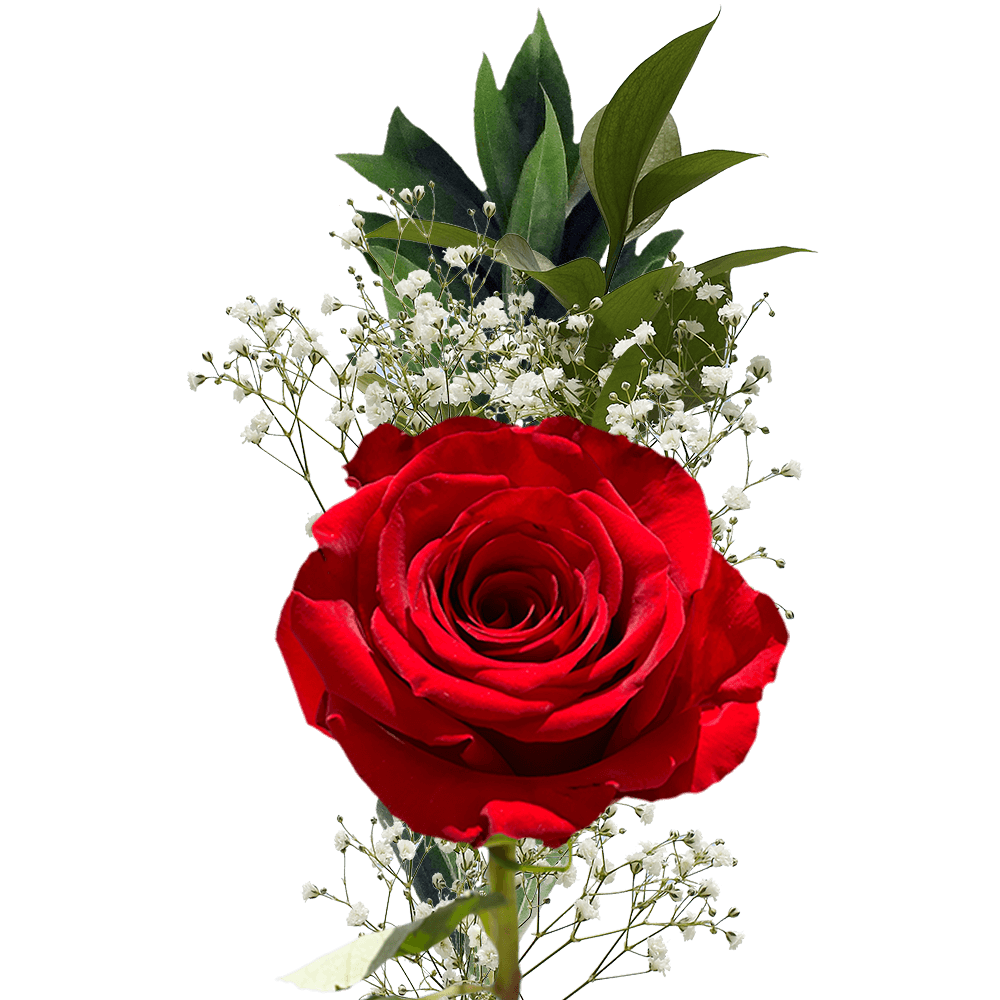 Red Roses with Silver Glitter  Premium Wholesale Flowers