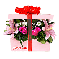 (DUO) Gift Box Pink Glow For Delivery to Cicero, Illinois