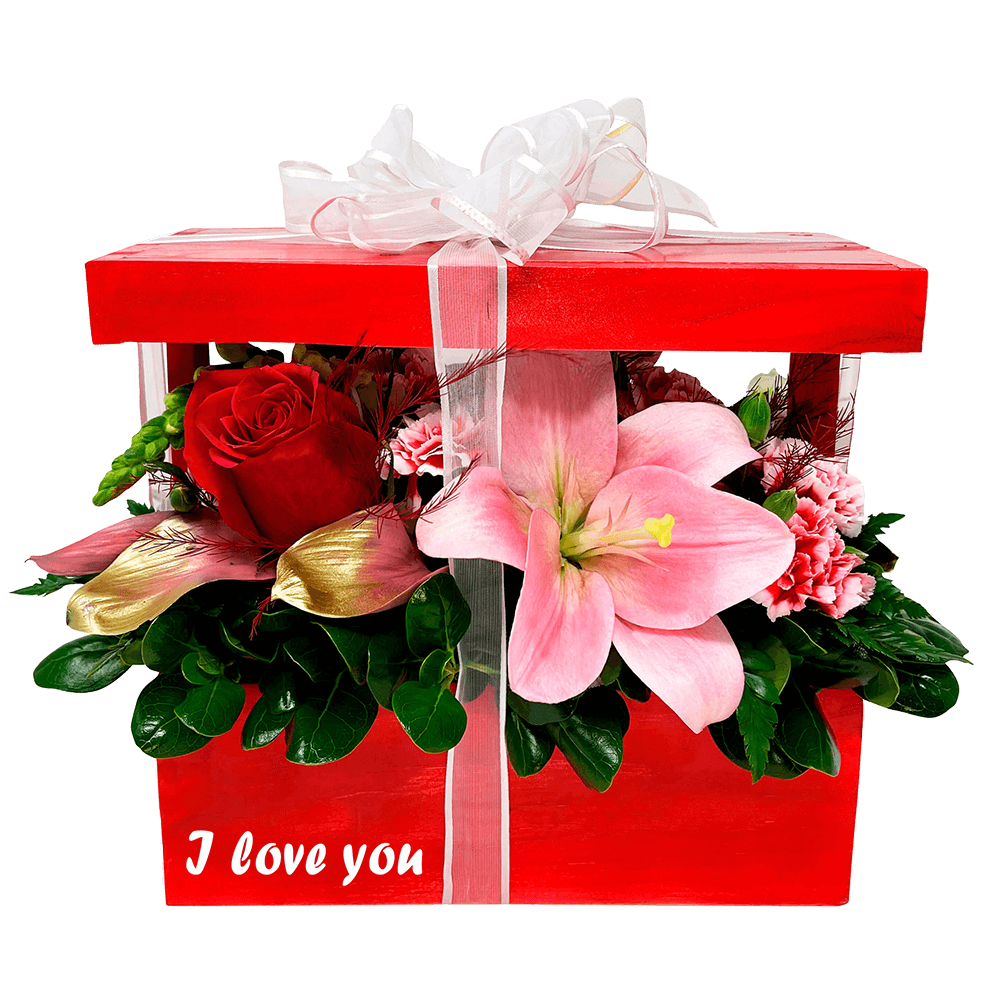 (DUO) Gift Box Red Cerise For Delivery to Faqs.Html, Alabama