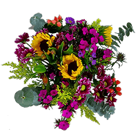 (OC) Flowering Fields Arrangement 2 For Delivery to Yuba_City, California