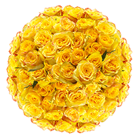 (QB) Rose Sht Yellow 4 Bunches For Delivery to Helena, Montana