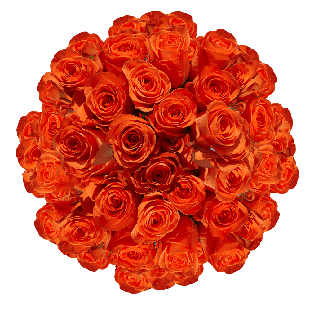 Flowers For Mother's Day Orange Roses Special