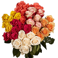 Rose Sht Assorted (HB) [Include Flower Food] (OM)
