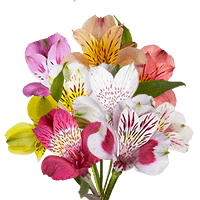 Flower Delivery to Slidell, Louisiana