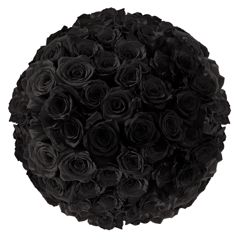 Fresh Black Roses Buy Online