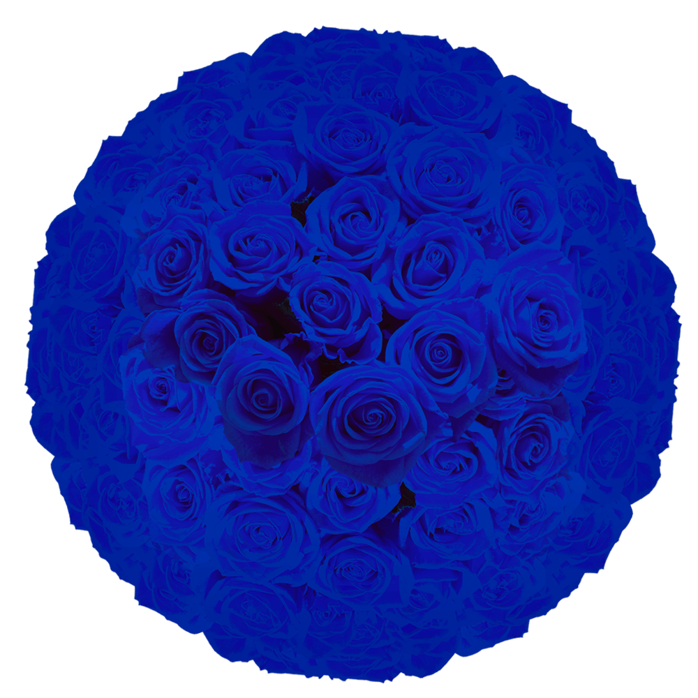 Fresh Blue Roses Buy Online