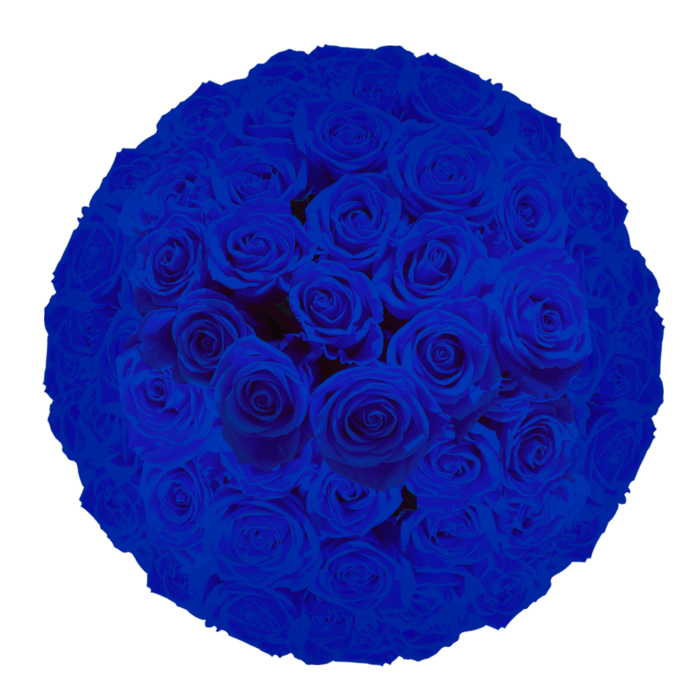 natural blue rose