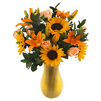 (OC) Flowers and Vases Sunshine 26 Flowers For Delivery to Sapulpa, Oklahoma
