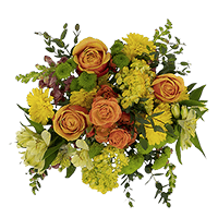 Auburn Glow Fall Arrangement For Delivery to Kentucky