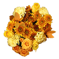 Arrangement Fall Beauty Qty For Delivery to Wyoming