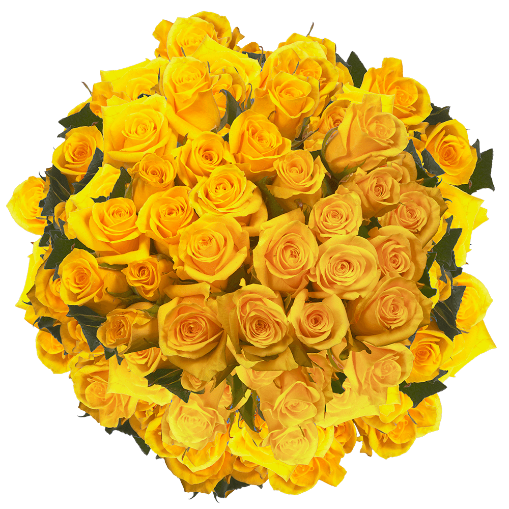 Fresh Cut Yellow Roses Valentine's Day Wholesale to the Public