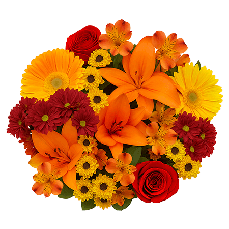 Choose Your Quantity of Indian Thanksgiving Arrangements