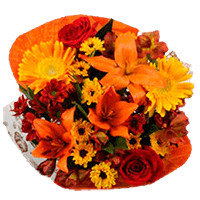 Arrangement Indian Thanksgiving Qty For Delivery to Harlingen, Texas