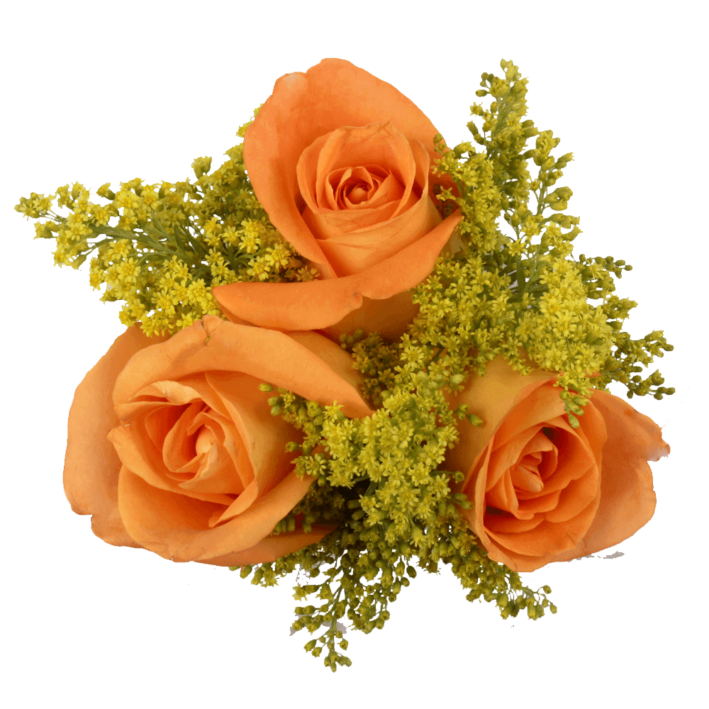 (OC) Small European Orange Rose Solidago 2 Arrangement For Delivery to Cary, North_Carolina