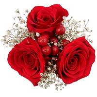 (OC) Small European Red Rose Bb Hypericum 2 Arrangement For Delivery to Clarksburg, West_Virginia