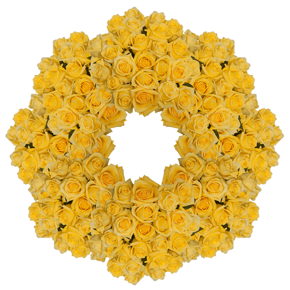 Fresh Flowers Online Wholesale Bright Yellow Roses