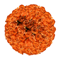 (2HB) Rose Sht Orange 20 Bunches For Delivery to Garden_Grove, California