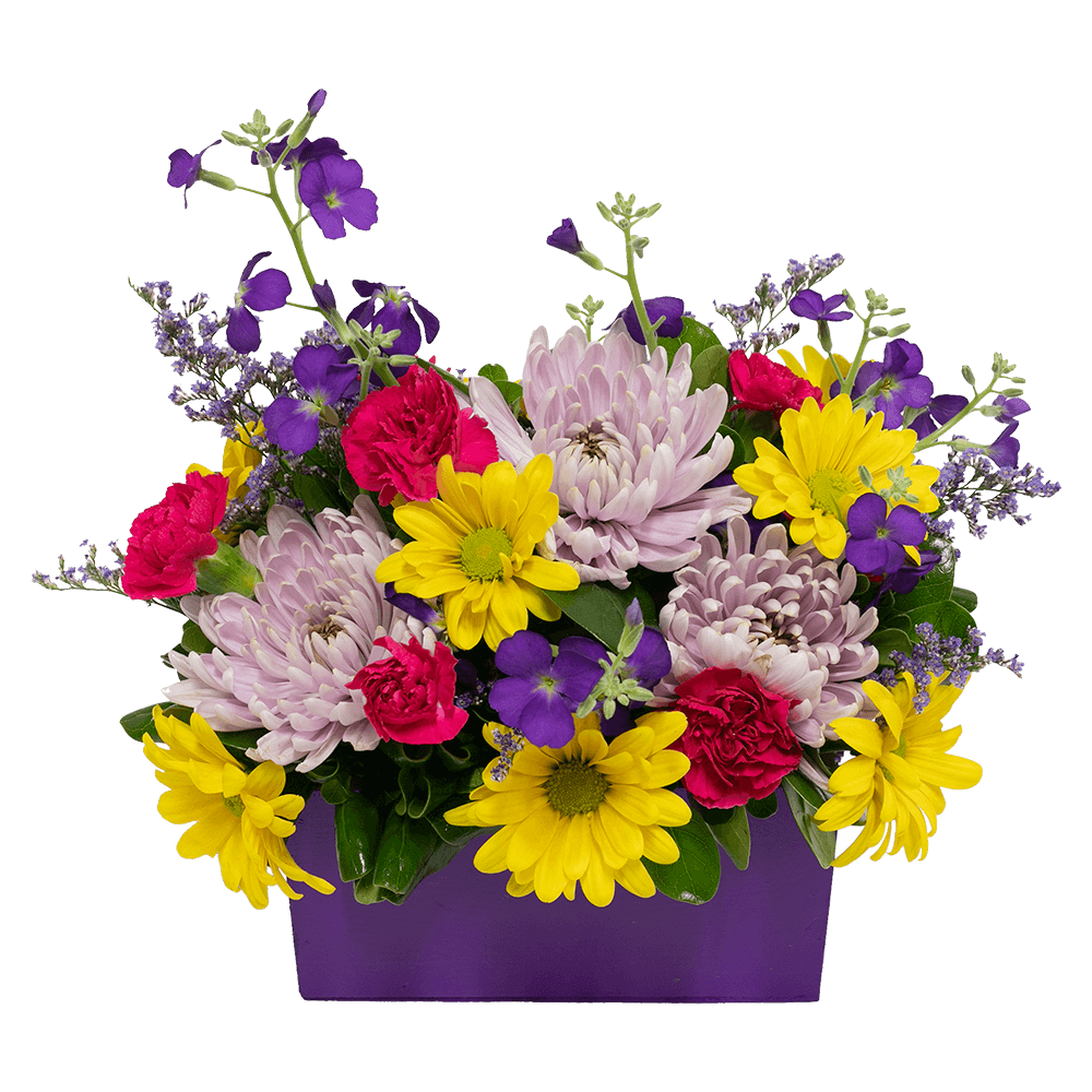 Fresh Flowers Spring Kit For Sale