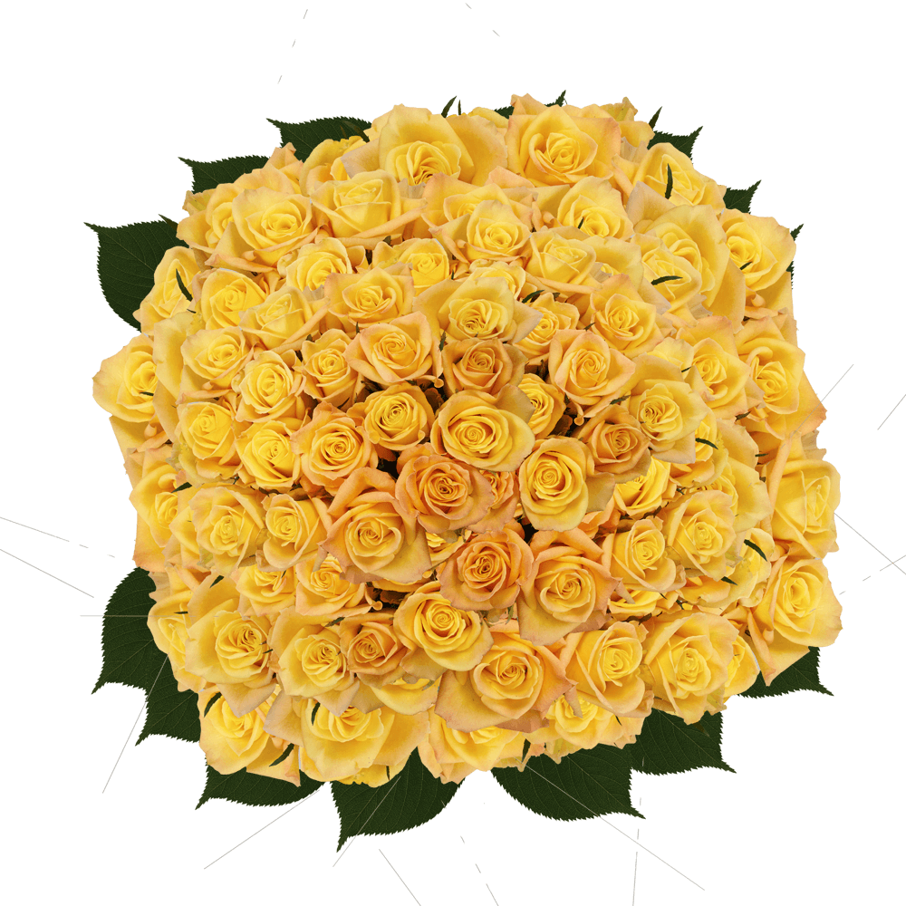 Fresh Light Yellow Rose Delivery