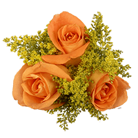 (QB) Small European Orange Rose Solidago 8 Arrangement For Delivery to Newport_News, Virginia