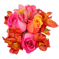 (QB) Small Euro Orange Pink Rose Alstro 8 Arrangement For Delivery to Pass_Christian, Mississippi