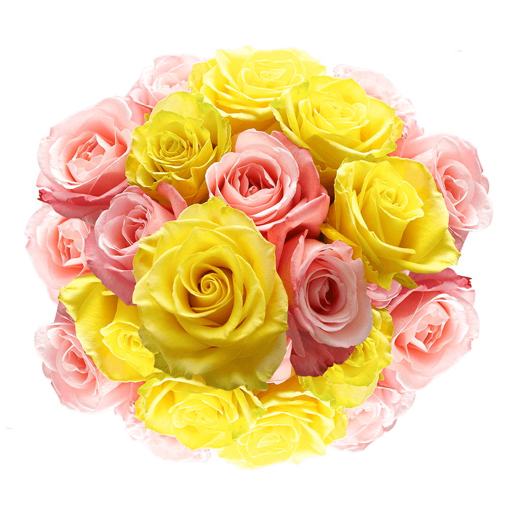 Fresh Pink Yellow Roses Free Delivery