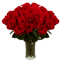 (OC) Earliest Love 36 Red Roses with Vase For Delivery to Sun_City_West, Arizona