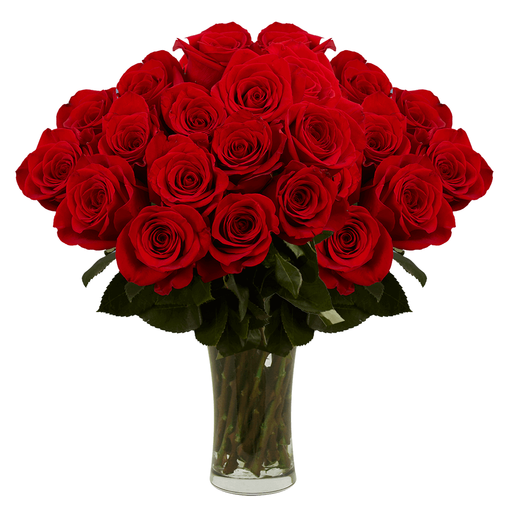 Fresh Red Roses Bouquet Red Roses with Vase